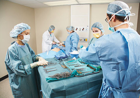 Florida Hospital College Nurse Anesthesia Program