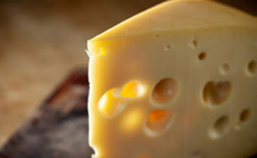 cheese brain