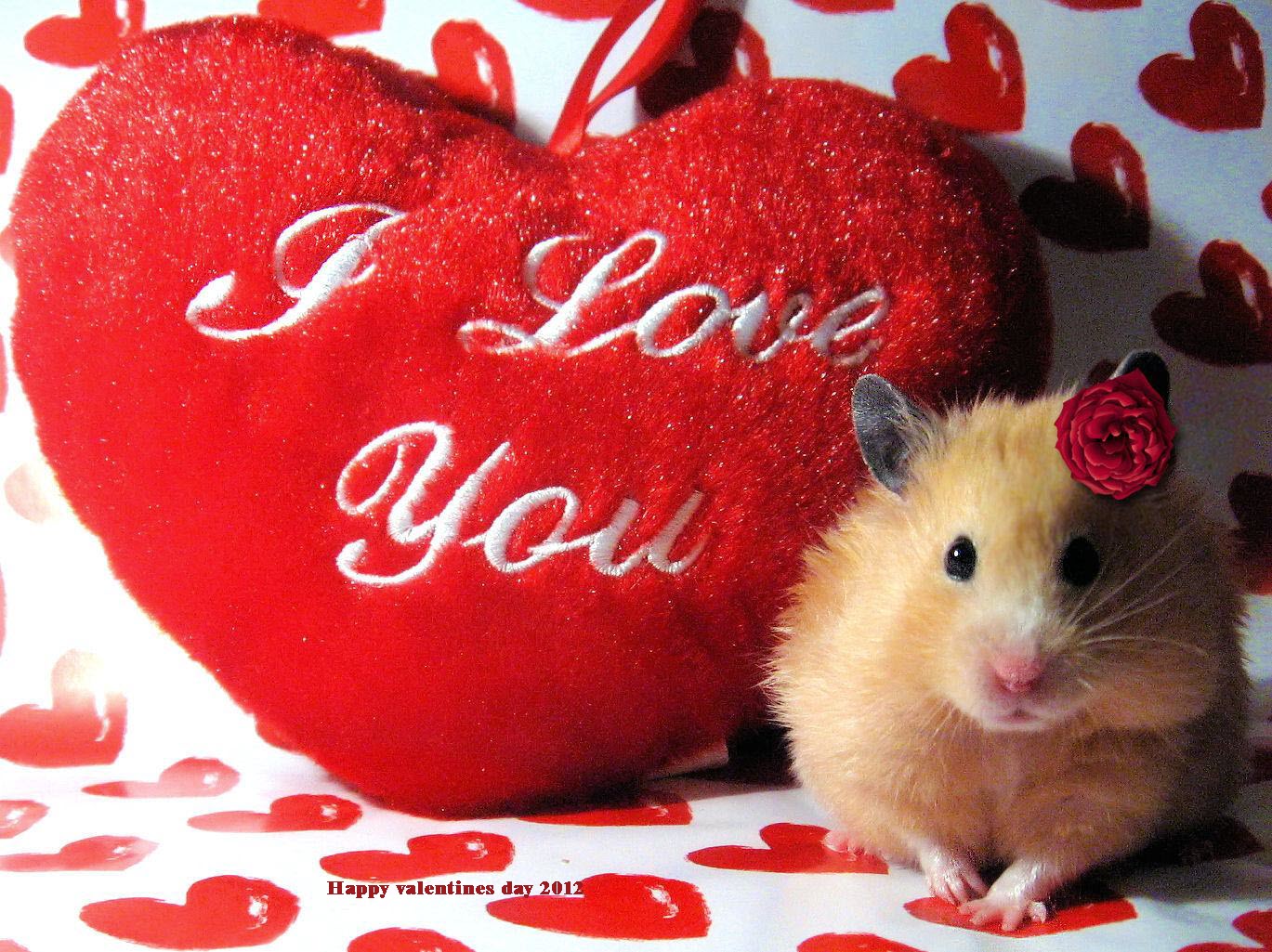 Happy-Valentine-day-2012-greeting-card-.jpg (1369×1025)
