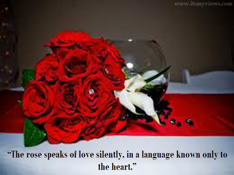Latest Most Beautiful Red Rose Pictures With Romantic Love Quotes  Itsmyviews Com